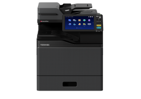 e STUDIO401AC zuschnitt