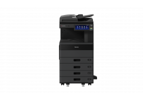 eS2021AC RADF 4cst F v2